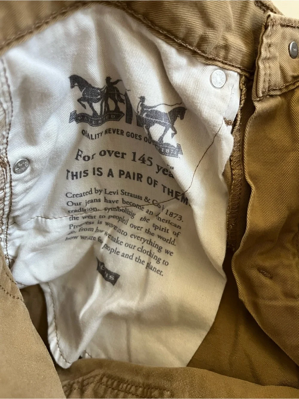 Levi's Men's Straight Jeans in Khaki Brown 32/34